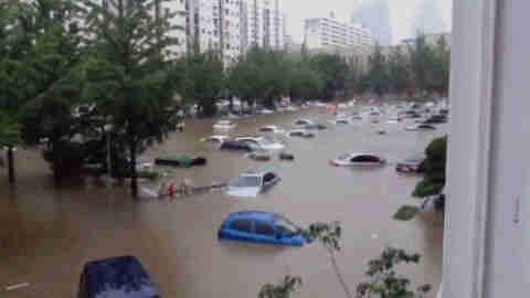 폭우 피해 보상금 및 보험사 보험료