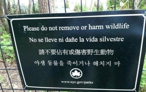 한국인에 대한 경고