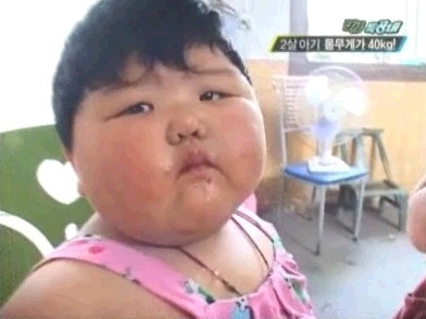 40kg 2살 아이, VJ특공대 슈퍼베이비 방송,
            팡야, 뚱뚱한 아이