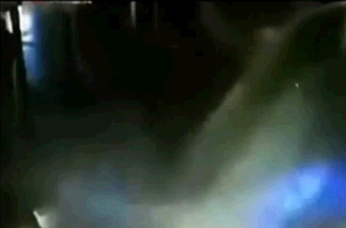 상어 수족관 폭발 장면, 쏟아진 물살에 휩쓸려
            사람이 떠내려 갔다