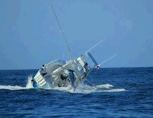 배 침몰시킨 물고기 사진3