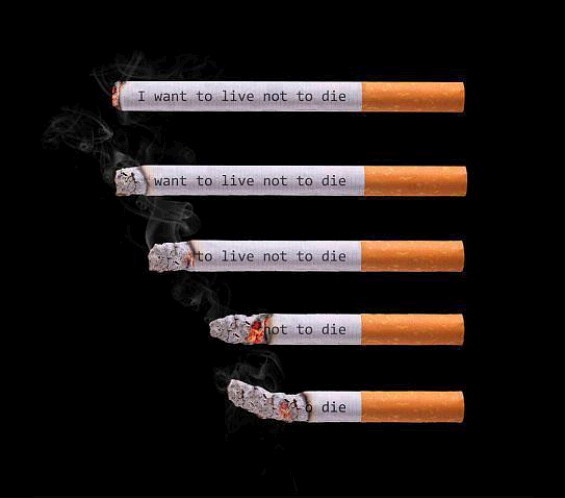 담배의 경고