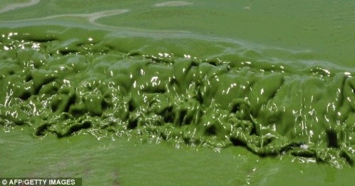 파라과이 죽음의 호수 사진2