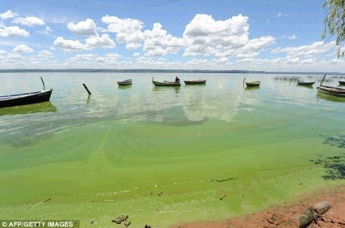 파라과이 죽음의 호수 사진3