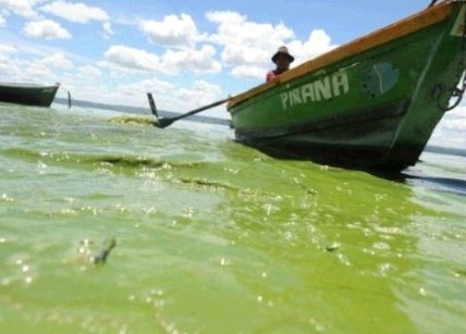 파라과이 죽음의 호수 사진4