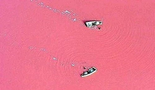 외계 같은 지구 사진, 아프리카 세네갈 레트바
            호수