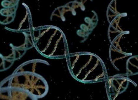 미래를 바꿀 신기술, RNA 기반 치료제 개발