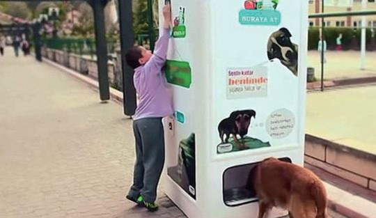 터키의 착한 자판기